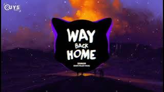 WAY BACK HOME - SHAUN (feat.CONOR MAYNARD) | SAM FELDT REMIX | NHẠC NỀN GÂY NGHIỆN HOT TREND 2022