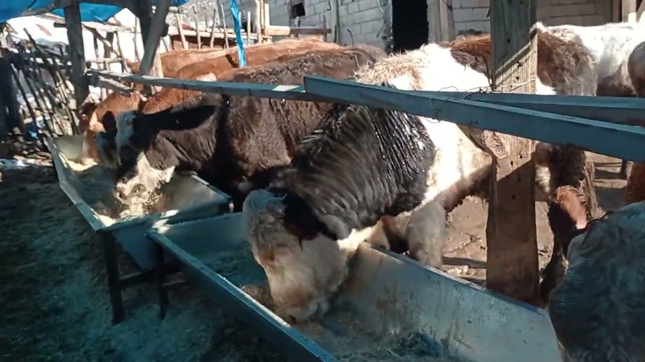 KÂR ZARAR ORTAKLIĞI 