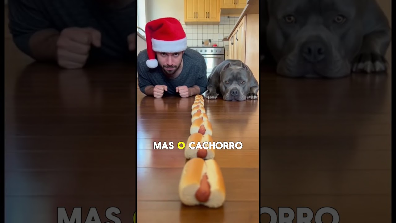 Esse CACHORRO SURPREENDEU o dono #fypage  #fyp  #foryou  #curiosidades  #shortsviral