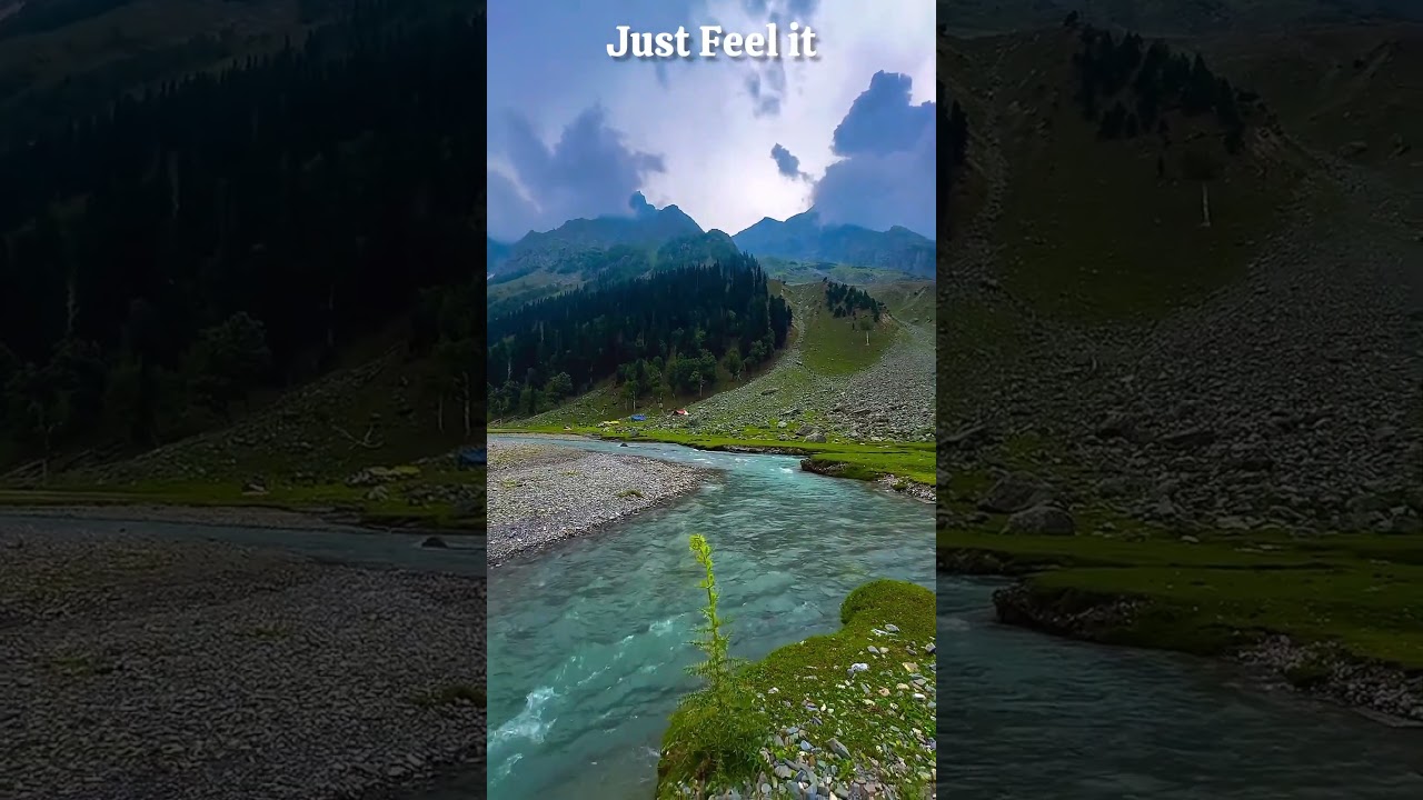 Just Feel The vibe | Extreme Peace and Calmness 