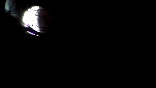 2014 Lunar Eclipse April 15 Awolnation: sail 1080p video