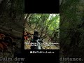 Deer Hunting Japan 45 degree offset #hunting#sniper #japaneseculture