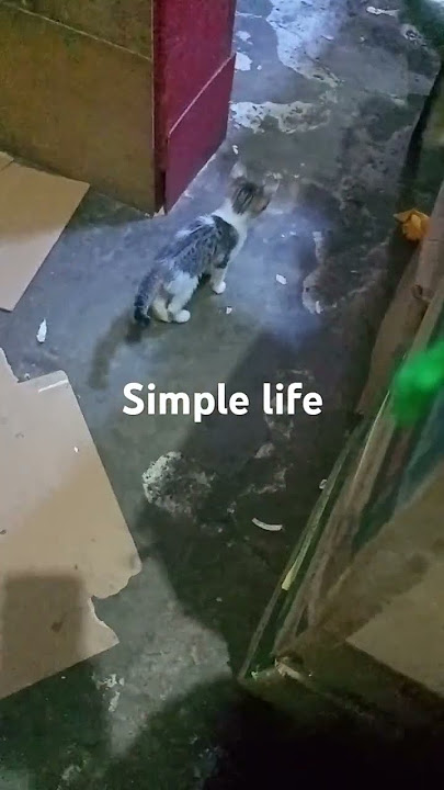they have the right to be happy