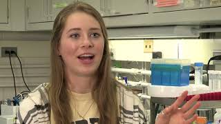 Undergraduate Research in Food Science