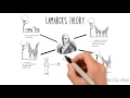 Theory of evolution  darwin lamarck