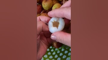 lấy hạt vải #shorts