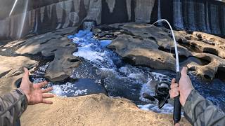 This Spillway Has Every Species Imaginable!