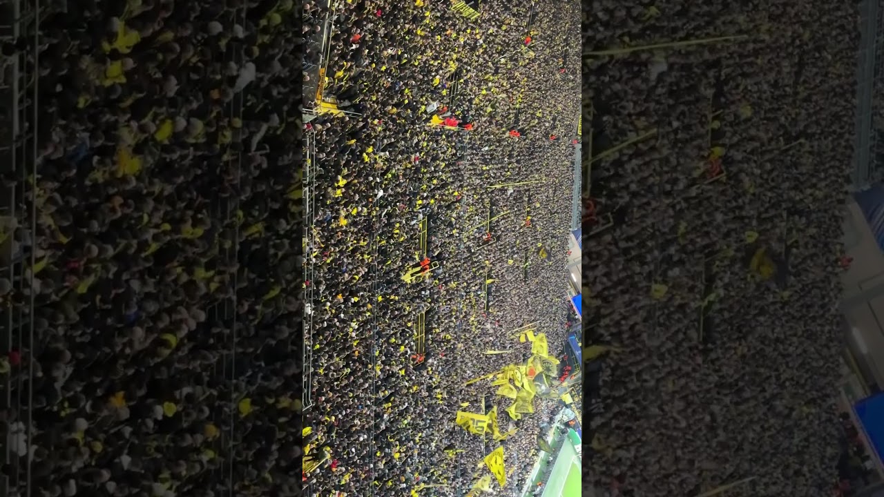 Borussia Dortmund - Şahtar Donetsk  Champions League (24/25) / 29 Ocak 2025