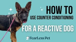 Using Counter Conditioning to Train a Reactive Dog