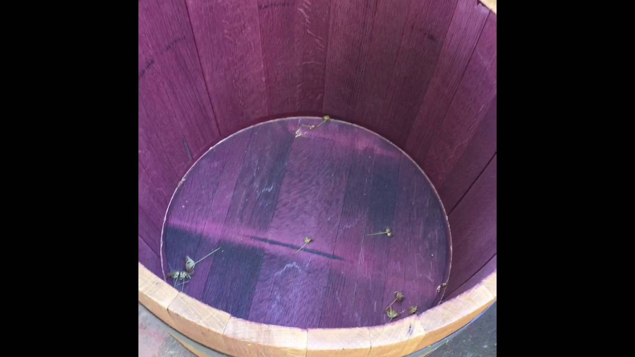 Barrel Dreams San Diego Wine Barrels For Sale YouTube