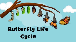 Life Cycle of a Butterfly for Kids | 4 Stages Explained | Fun Educational Video