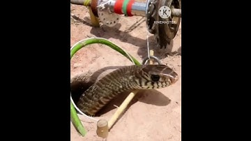 सांप पकड़ने की मशीन #shorts #ytshorts #shortvideo #youtube #facts #snake #viralshorts #trending