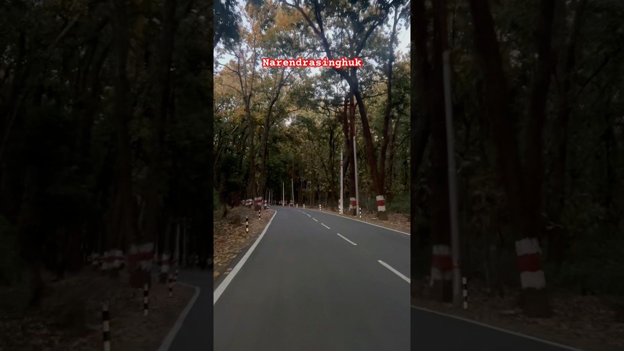 DehradunAdventure || Narendrasinghuk