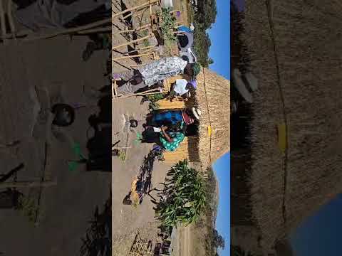 MUTOKO WOYEEE Kwaiwai Kwaiwai Kuno Makadii Varimi Douyai Muchizvinzwira 