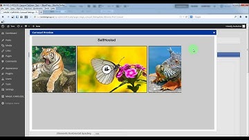 Magic Carousel WP Plugin - How to transform a perspective carousel in an one-by-one carousel