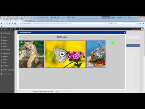 Magic Carousel WP Plugin - How to transform a perspective carousel in an one-by-one carousel
