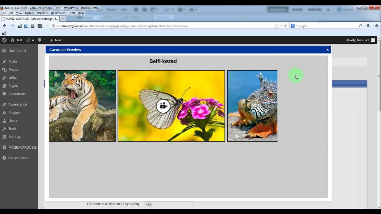 Magic Carousel WP Plugin - How to transform a perspective carousel in ...