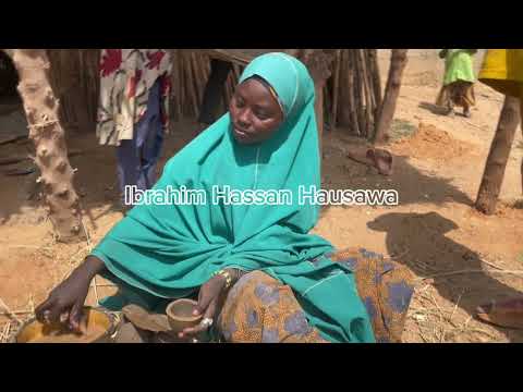 Kano Irin Masu Basirar Dake Kunshe Cikin Garin Rege Ke Nan A Karamar Hukumar Wudil 