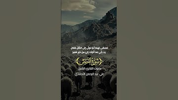 ما تيسر من سورة القصص (٢٢ لـ ٢٦) بصوت القارئ الشيخ علي عبد الرحمن الأحمدي #القرآن_الكريم #quran