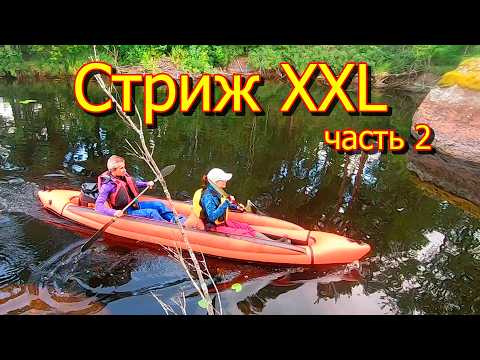 Стриж, BARБардак! - Гайки