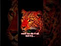 असली मज़ा जीत में नहीं, संघर्ष में है......#short#video#trend....