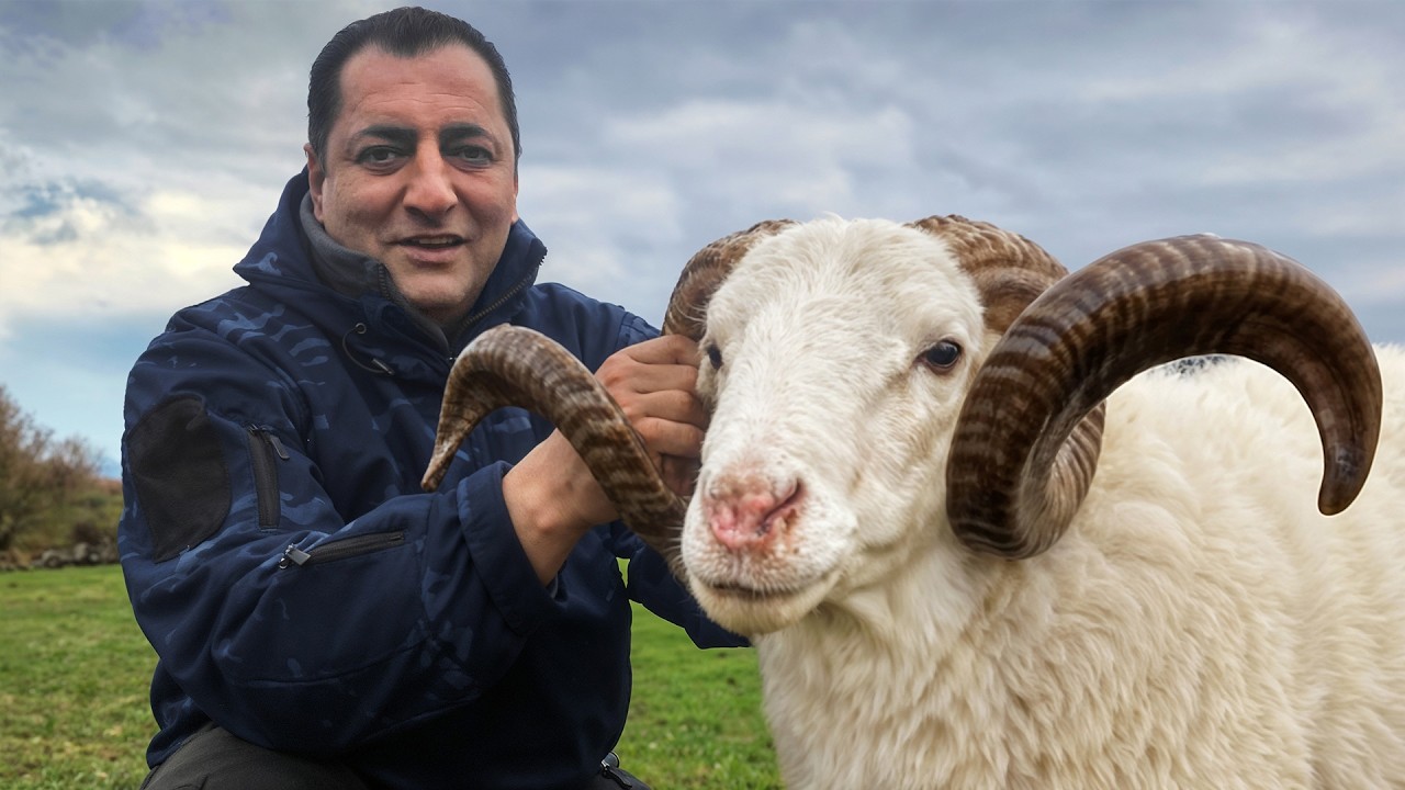 Fırında İç Pilavla Doldurulmuş Dev Kuzu! Dağlarda Pişen Oryantal Lezzet