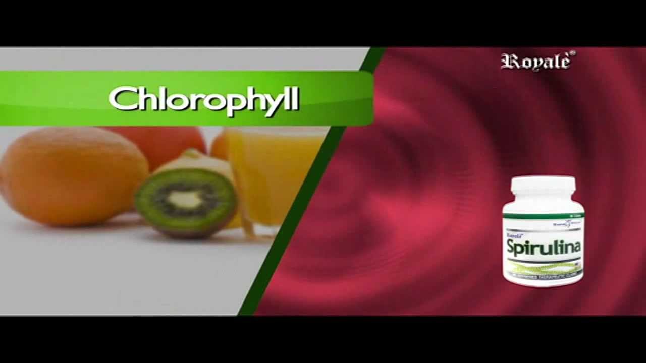 Royale Spirulina YouTube
