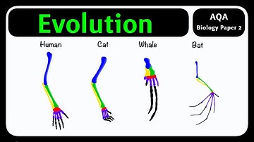 GCSE Biology AQA - Evolution | Natural Selection & Adaptation Explained [2026]