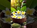 Calm Your Mind Instantly 💧 Relaxing Piano Music #shorts