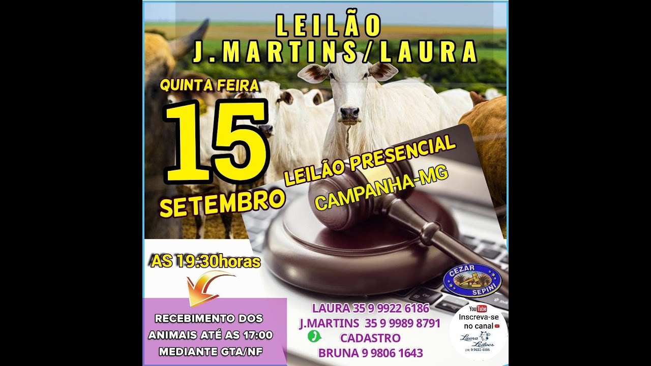 J. Martins e Laura Leilões - Campanha