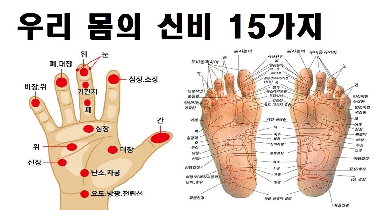 우리 몸의 신비 15가지 - YouTube