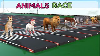 Animated Animal Race | Animal Race Contest | Animal Sports Cartoon | Happy Bees TV screenshot 4
