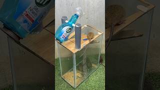 Best Mouse Trap Idea/Homemade Mouse Trap From Waste #Rattrap #Mousetrap