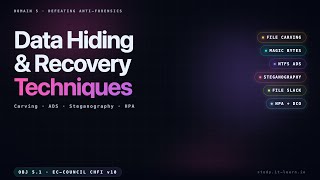 Data Hiding & Recovery — File Carving, ADS, Steganography, HPA (CHFI v10 Obj 5.1)