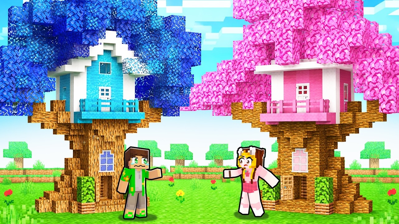 Casa in Copac FETE vs BAIETI !