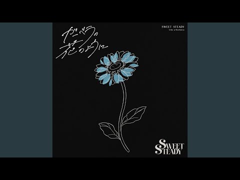 Like a Gerbera (Instrumental)