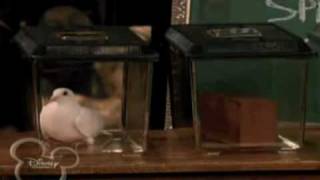 在雪山的尽头我遇见了勇气