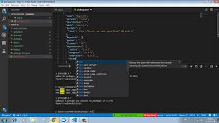 19 What is node devDependencies