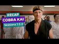 Cobra Kai: Seasons 1 & 2 RECAP