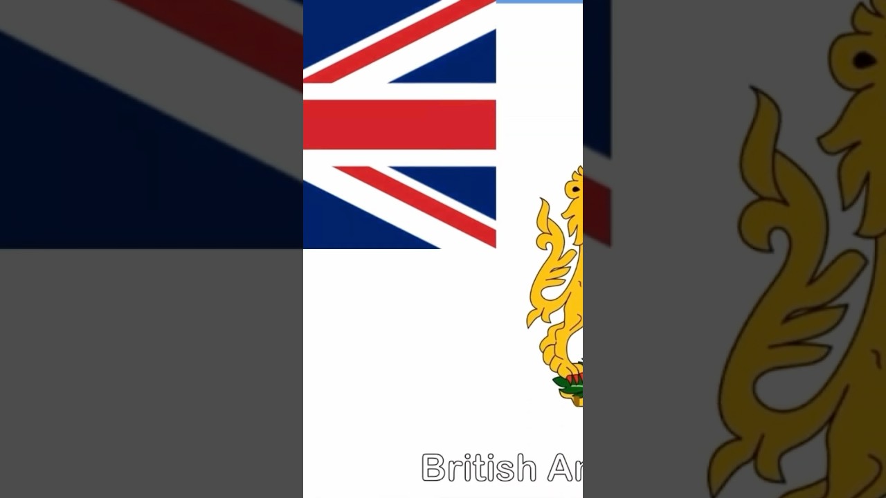 Flags all of Antarctic 