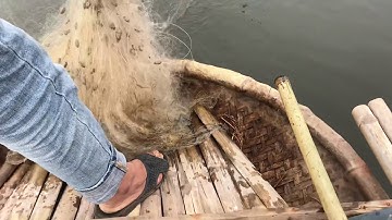 Đánh Cá Rô Đồng