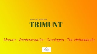 Trimunt Heather & Forest Route - The Netherlands