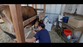 New Simple Pulse Milking Machine Setup