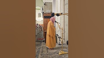 سورة النور ، الشيخ الوليد الشمسان 🤍