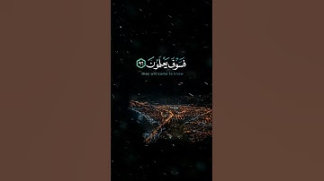 اكتب ما تؤجر عليه، وشارك الأجر🤍 #القرآن_الكريم #الله #الصلاة #تلاوات #اسلام #اسلام_صبحي #التسبيح