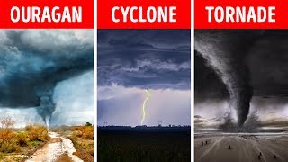 Différence entre tsunami et ouragan