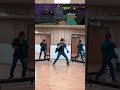 Agent P Magic Mirror Remix | Tera Ⅱ #clonedance #agentp #perrytheplatypus #phineasandferb #dance