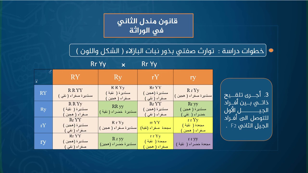 قانون مندل الثاني للمادة الاحياء