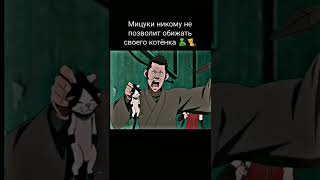 Мицуки никому не позволит обижать своего котенка 🐈 🐍