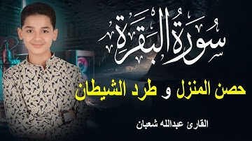 سورة البقرة كاملة | القارئ عبدالله شعبان | Surah Baqara